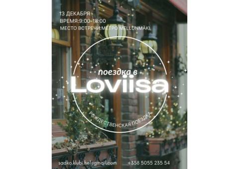 Поездка рождественскую Ловииса.