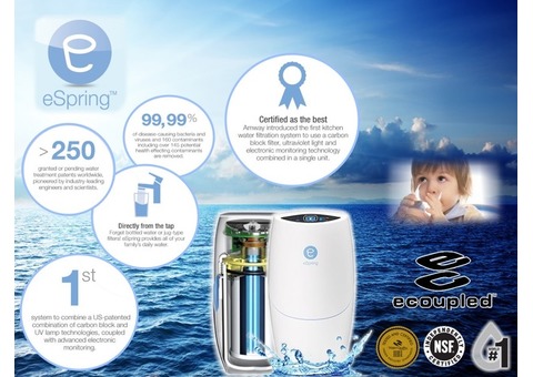 Water Treatment System with Diverter Kit for existing tap eSpring™, viiden vuoden laajennettu takuu
