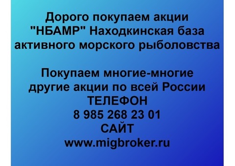 Покупаем акции НБАМР